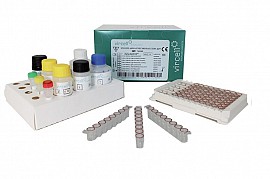 Kít phát hiện các kháng thể kháng ZIKA ELISA IgG