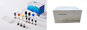 Câu hỏi thường gặp (FAQ) chung về phương pháp ELISA