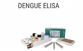 Kít phát hiện các kháng thể kháng sốt xuất huyết - DENGUE ELISA IgG