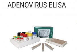 Kít phát hiện các kháng thể kháng Adeno - ADENOVIRUS ELISA IgG/IgM