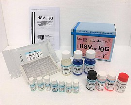HSV1&2 IgG
