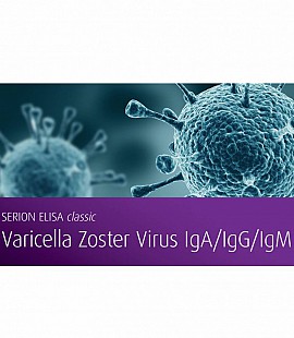 Varicella Zoster Virus IgG